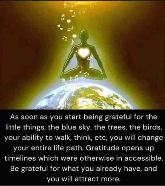 558**awaken