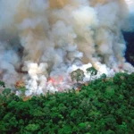 A Missing Piece in Climate Models: Nature’s Own Emissions Amazon-Fire-Smoke_Alamy-HEADERjpg