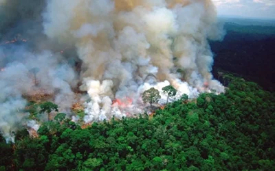 A Missing Piece in Climate Models: Nature’s Own Emissions