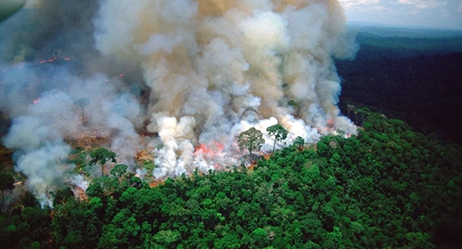 A Missing Piece in Climate Models: Nature’s Own Emissions