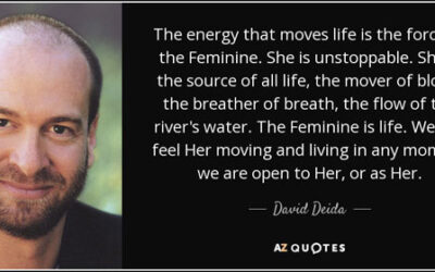 Way Of The Superior Man – David Deida