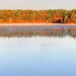 Why Did Thoreau Take The Bhagavad Gita To Walden Pond? GettyImages-1170319469_492547_mdqruq-1