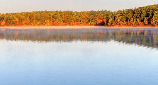 Why Did Thoreau Take The Bhagavad Gita To Walden Pond?