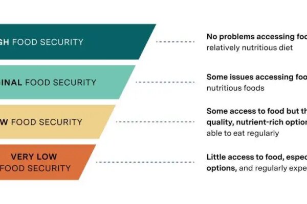 NY Fed: 14% of US Households Experience Food Insecurity