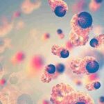 Magnesium May Prime The Immune System To Fight Cancer And Infections Magnesium-520