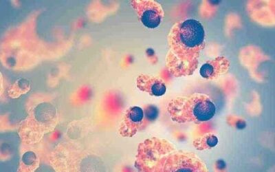 Magnesium May Prime The Immune System To Fight Cancer And Infections