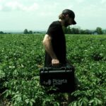 Picketa raises .1 million to help farmers make the most of their fertilizer 