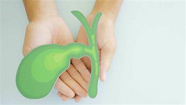 Study Reveals Bile as Reservoir for Microplastics in Humans