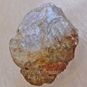Diaspore Stimulates The Mind, Helps Memory And Adaption To Change