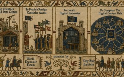 Digital Embassies: Host Countries Build Data Centers For Foreign Nations To Access
