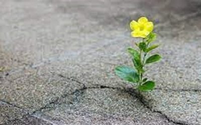 6 Habits Of Hope