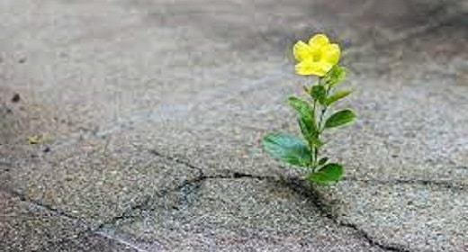 6 Habits Of Hope