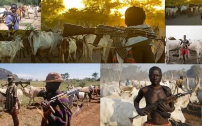 Who is Funding Fulani Militants Killing Christians in Nigeria?
