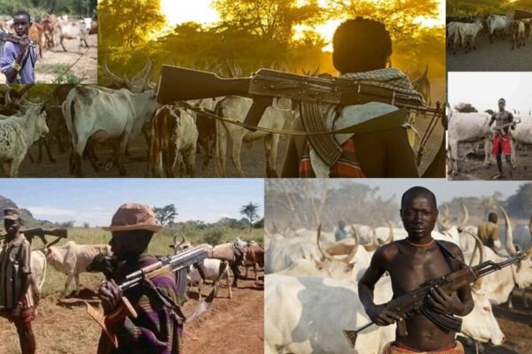 Who is Funding Fulani Militants Killing Christians in Nigeria?
