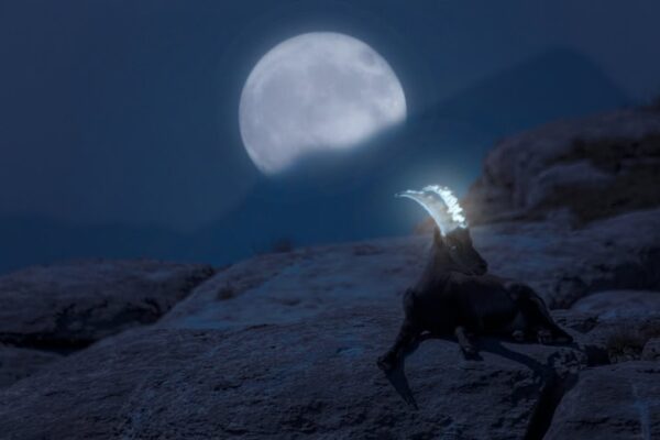 The Full Moon in  Capricorn 2026 – and Tarot Readings for Every Zodiac Sign