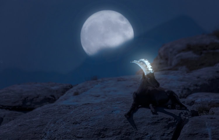 The Full Moon in  Capricorn 2026 – and Tarot Readings for Every Zodiac Sign