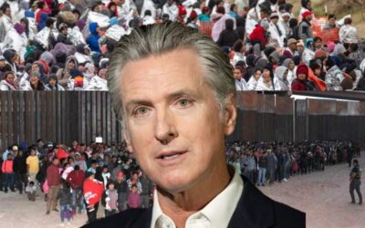 Illegal! University Of California Los Angeles Prioritizes Illegal Aliens for ,000 Immigration Activism Summer Fellowship