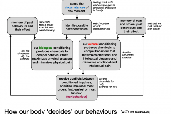 How Our Bodies (Usually) Compel Us To Do What’s Best For Us
