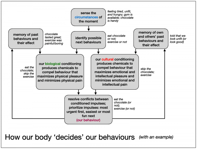 How Our Bodies (Usually) Compel Us To Do What’s Best For Us