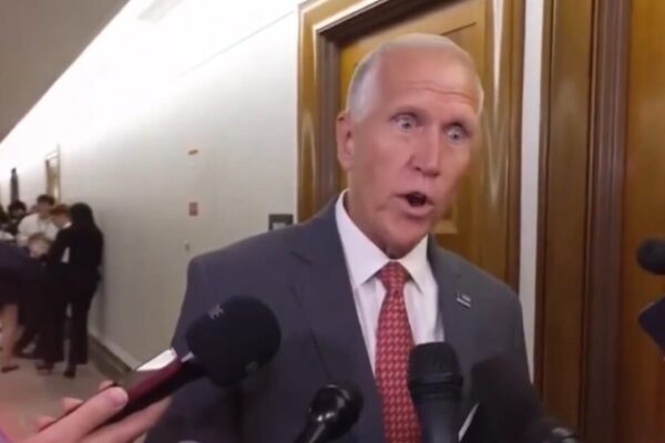 “Steamy Pile of DOGE Sh*t!” – Crazed Tillis Trashes Pulte For Firing Deep State Intel Officials (VIDEO)