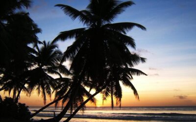 Trump Eyes Purchase of Strategic Islands in Indian Ocean