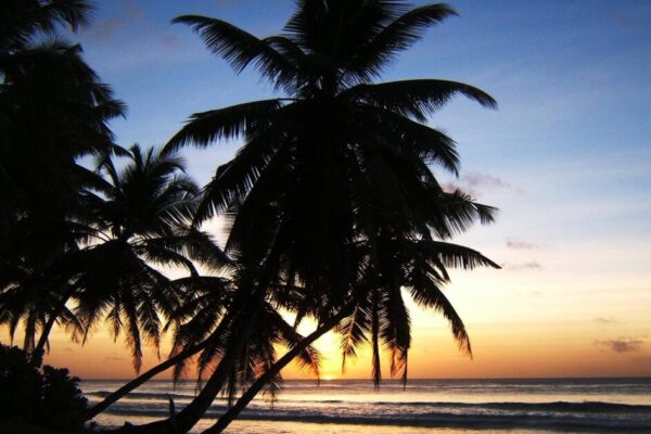 Trump Eyes Purchase of Strategic Islands in Indian Ocean