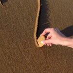 Drawing the AI Line in the Sand – #SolutionsWatch istockphoto-1765698984-612x612-1