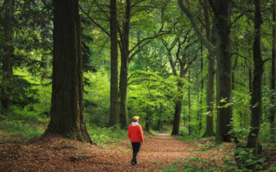 Man as an Extension of Nature – Not a Techno Hybrid Simulation