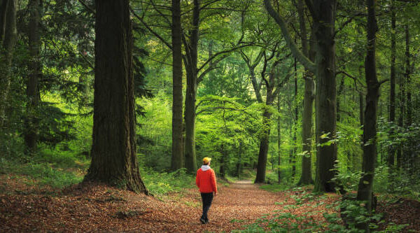 Man as an Extension of Nature – Not a Techno Hybrid Simulation