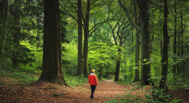 Man as an Extension of Nature – Not a Techno Hybrid Simulation