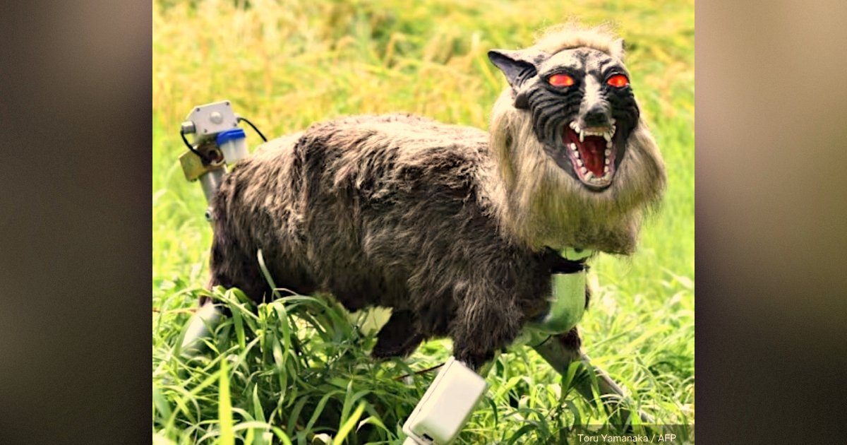 A robotic creature resembling a lion with glowing red eyes and mechanical legs stands in a grassy field, showcasing advancements in robotics and artificial intelligence.