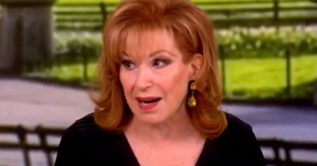 The Idiots of ‘The View’ Praise Their New Communist Overlords of the DSA (VIDEO)
