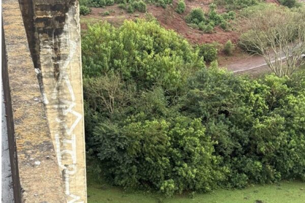 Maria Eduarda Rodrigues De Freitas, 21, Lost Her Life on a Bungee Jump After Workers Forgot to Tie Her Safety Rope to Her Harness