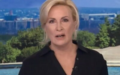 MSNOW CLOWN SHOW: Mika Blasts Trump for Questioning LA Mayor Race, Panel Then Floats Conspiracy Theories About Republicans Stealing the Midterms (VIDEO)
