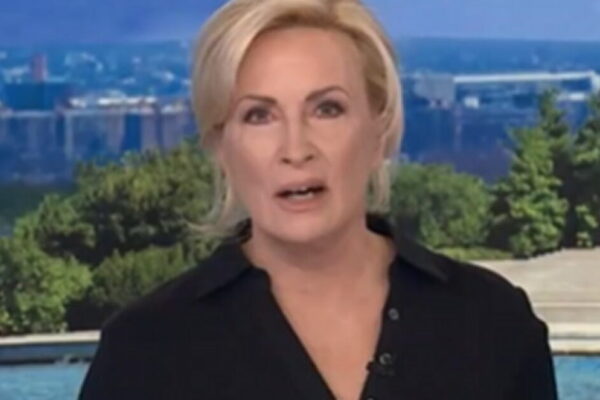 MSNOW CLOWN SHOW: Mika Blasts Trump for Questioning LA Mayor Race, Panel Then Floats Conspiracy Theories About Republicans Stealing the Midterms (VIDEO)