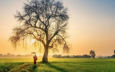 The Gift of Challenging Times: 7 Vedantic Tips For Thriving Amid Adversity