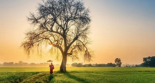 The Gift of Challenging Times: 7 Vedantic Tips For Thriving Amid Adversity