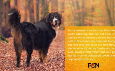 What Happens to Pets That Cross Over?