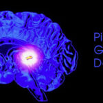 Awaken Interviews Alberto Villoldo Pt 3 – Wake Up, Grow Up And Then You Show Up pineal-gland-detox
