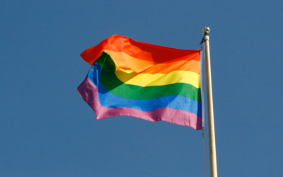 WOKE BACKFIRE: Minor League Baseball Players REFUSE to Wear ‘Pride Night’ Jerseys, Leading Team to Forfeit Game