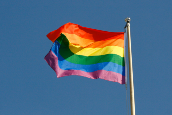 WOKE BACKFIRE: Minor League Baseball Players REFUSE to Wear ‘Pride Night’ Jerseys, Leading Team to Forfeit Game