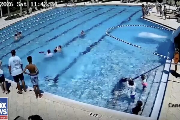 MUST SEE: ICE Officer Lifts Drowning Child Out of Water, Then Saves His Life with CPR – Dems Call People Like Him ‘Gestapo’