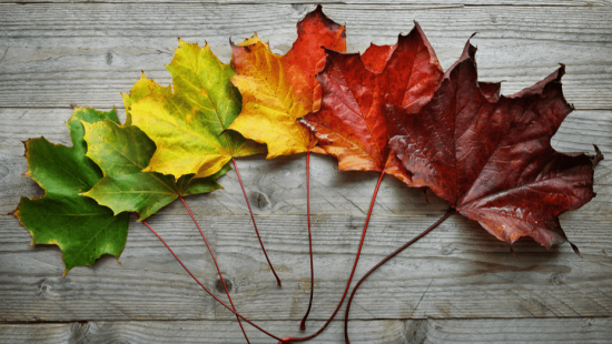 change your words to change your life