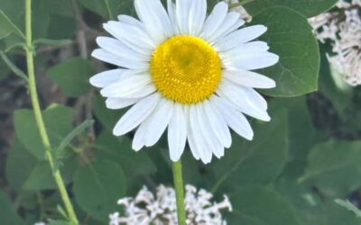 The Hit List – Summer is coming