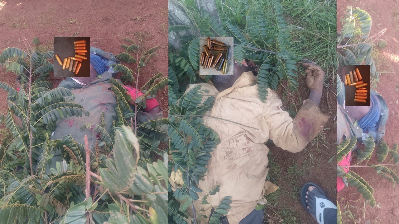 Image of a crime scene with a deceased individual partially covered by foliage, alongside displayed bullet casings, indicating a possible violent incident.