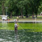 why-did-park-service-workers-pour-jugs-of-hydrogen-peroxide-into-the-lincoln-mem-2