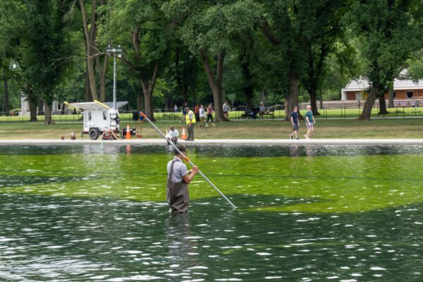 Why Did Park Service Workers Pour Jugs of Hydrogen Peroxide into the Lincoln Memorial Reflecting Pool?