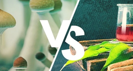 AYAHUASCA vs MUSHROOMS – Dennis McKenna on DMT & Psilocybin