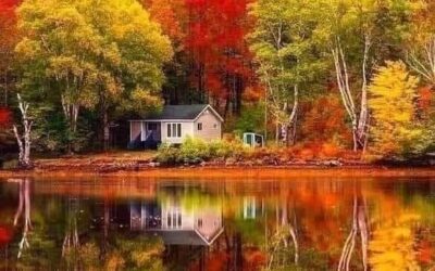 Our Sacred Planet Mother Earth in all of it’s Amazing Beauty and the Quote of the Day 215