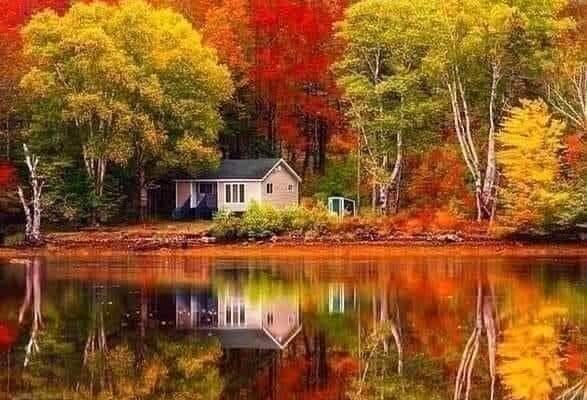 Our Sacred Planet Mother Earth in all of it’s Amazing Beauty and the Quote of the Day 215